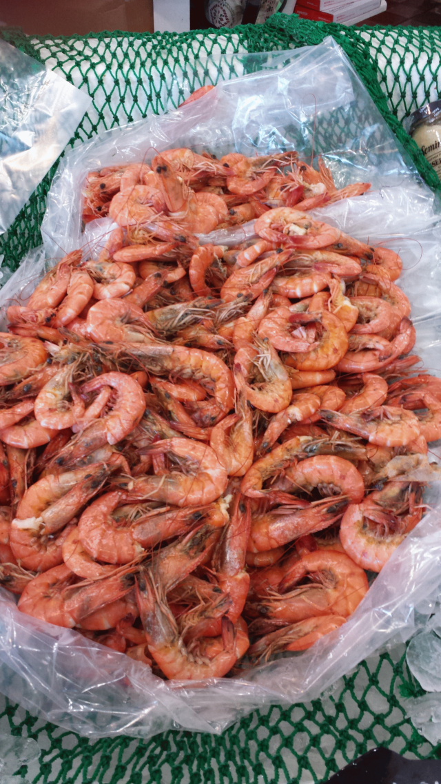 shrimp3.gif